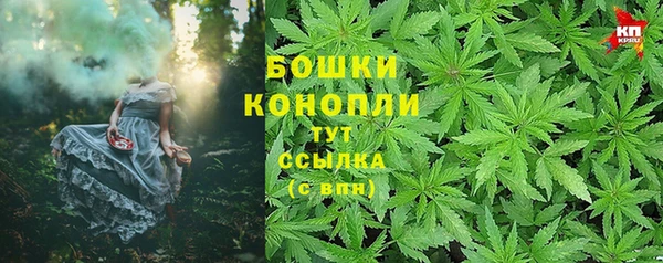 PSILOCYBIN Киренск