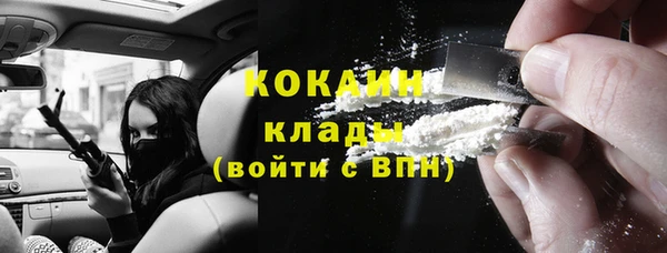 PSILOCYBIN Киренск