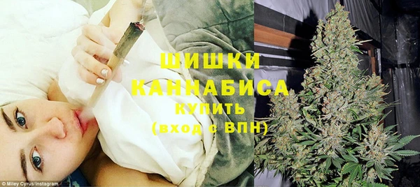 PSILOCYBIN Киренск